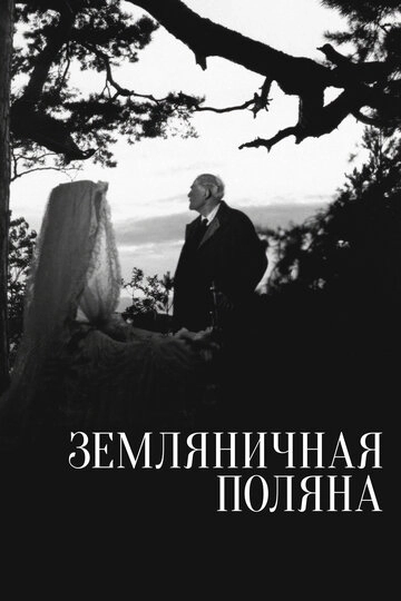 Земляничная поляна